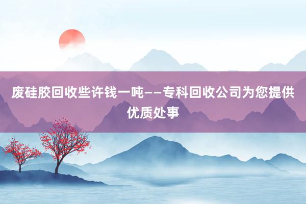 废硅胶回收些许钱一吨——专科回收公司为您提供优质处事