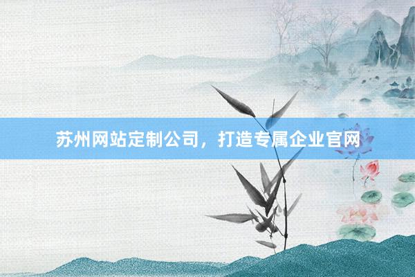 苏州网站定制公司，打造专属企业官网