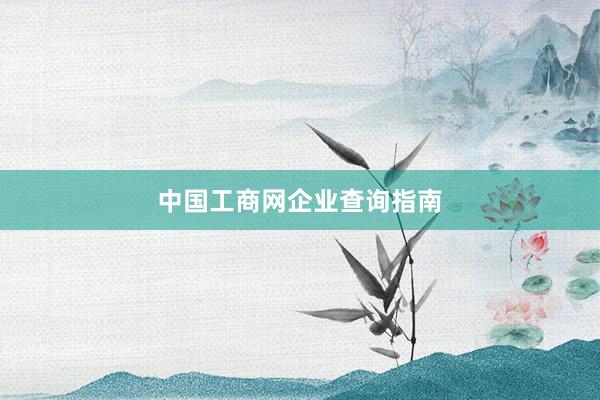 中国工商网企业查询指南